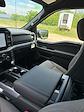 New 2025 Ford F-150 XLT SuperCrew Cab for sale #F19655 - photo 20