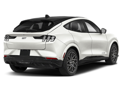 New 2025 Ford Mustang Mach-E - photo 1