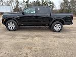New 2025 Ford Ranger XL SuperCrew Cab for sale #F19960 - photo 5