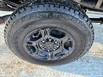 2026 Ford F-250 Crew Cab 4x4 Pickup for sale #F20031 - photo 9