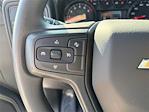 New 2025 Chevrolet Silverado 2500 Regular Cab Service Truck for sale #29025TD - photo 15
