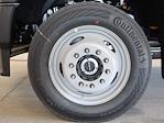 2025 Ford F-550 Regular Cab DRW 4x4 Cab Chassis for sale #250532F - photo 21