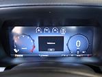2025 Ford F-150 Regular Cab 4x2 Pickup for sale #251514F - photo 11