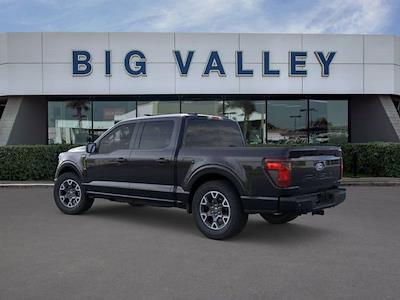 2025 Ford F-150 SuperCrew Cab RWD Pickup for sale #T25241 - photo 2