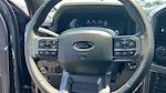 2025 Ford F-150 SuperCrew Cab 4x2 Pickup for sale #T25510 - photo 19