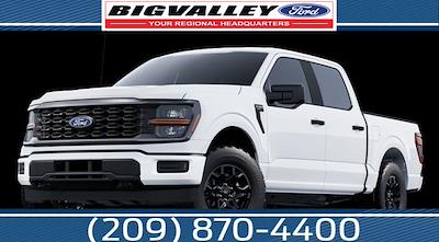 2025 Ford F-150 STX's photo
