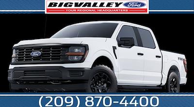 2025 Ford F-150 STX's photo