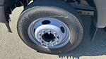 2025 Ford F-550 Regular Cab DRW RWD Scelzi Dump Truck for sale #W2040 - photo 9