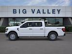 2025 Ford F-150 SuperCrew Cab 4WD Pickup for sale #W2074 - photo 4