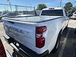 2024 Chevrolet Silverado 1500 Regular Cab 2WD Pickup for sale #241865A - photo 2