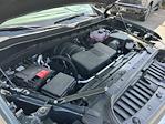 2025 Chevrolet Silverado 1500 Crew Cab 4WD Pickup for sale #252737 - photo 39