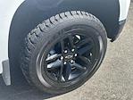2019 Chevrolet Silverado 1500 Crew Cab 4WD Pickup for sale #252995A - photo 11