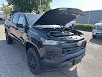 2025 Chevrolet Colorado Crew Cab 2WD Pickup for sale #253312 - photo 28