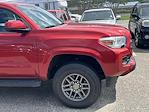 2019 Toyota Tacoma Double Cab RWD Pickup for sale #259608A - photo 10