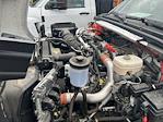 2024 Chevrolet Silverado 5500 Crew Cab DRW 2WD Cab Chassis for sale #CN43227 - photo 30