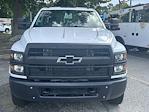 New 2024 Chevrolet Silverado 5500 Crew Cab Reading TPA60-132 11' Service Truck for sale #CN43941 - photo 4