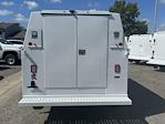 2025 Chevrolet Express 3500 Regular Cab RWD Reading Service Utility Van for sale #CN53642 - photo 2