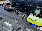 2024 Ford F-350 Regular Cab SRW 4x2 Pickup for sale #76923A - photo 23