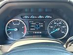 2020 Ford F-250 Crew Cab 4x4 Pickup for sale #77174A - photo 15