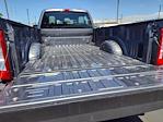 2024 Ford F-350 Crew Cab SRW 4x4 Pickup for sale #77371A - photo 13