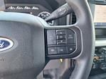 2024 Ford F-350 Crew Cab SRW 4x4 Pickup for sale #77371A - photo 18