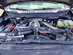 2024 Ford F-350 Crew Cab SRW 4x4 Pickup for sale #77371A - photo 23