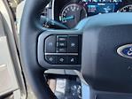2023 Ford F-150 SuperCrew Cab 4x2 Pickup for sale #P10370 - photo 17