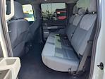 2023 Ford F-150 SuperCrew Cab 4x2 Pickup for sale #P10370 - photo 8