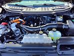 2024 Ford F-150 SuperCrew Cab 4x4 Pickup for sale #P10376 - photo 24