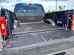 2023 Ford F-150 SuperCrew Cab 4x2 Pickup for sale #P10388 - photo 13