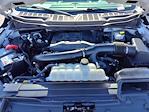 2023 Ford F-150 SuperCrew Cab 4x4 Pickup for sale #P10389 - photo 23