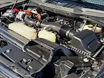 2024 Ford F-150 SuperCrew Cab 4WD Pickup for sale #P10452 - photo 23