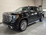 New 2025 GMC Sierra 1500 Denali Crew Cab 4WD Pickup for sale #250502 - photo 52