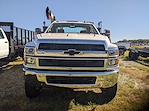 2024 Chevrolet Silverado 5500 Regular Cab DRW 4WD, Reading Master Mechanic HD Crane Mechanics Body for sale #CR5586 - photo 3