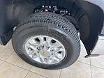New 2025 Chevrolet Silverado 3500 LT Regular Cab 4x4 SRW Pickup for sale #C50564 - photo 9