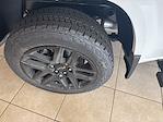 2025 Chevrolet Colorado Crew Cab 4x4 Pickup for sale #C50682 - photo 10