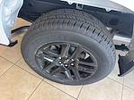 2025 Chevrolet Silverado 1500 Double Cab 4x4 Pickup for sale #CW60326 - photo 10