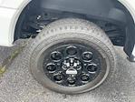 New 2024 Ford F-250 XLT Crew Cab 4x4 Pickup for sale #F3462 - photo 4