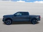 2024 Ford F-150 SuperCrew Cab 4x4, Pickup for sale #F3490 - photo 2