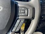 2020 Ford F-250 Crew Cab 4x4 Pickup for sale #F3699A - photo 28