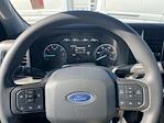 2024 Ford F-250 Crew Cab 4x4 Plow Truck for sale #F3929 - photo 12