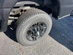 2024 Ford F-250 Crew Cab 4x4 Plow Truck for sale #F3929 - photo 4