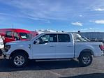 New 2025 Ford F-150 XLT SuperCrew Cab 4WD Pickup for sale #F4114 - photo 14