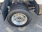 2024 Ford F-450 Crew Cab DRW 4x4 Pickup for sale #F4147B - photo 8
