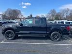 New 2025 Ford F-150 STX SuperCrew Cab 4WD Pickup for sale #F4168 - photo 28