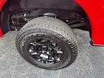 New 2025 Ford F-350 XL Regular Cab 4WD SRW Pickup for sale #F4296 - photo 6