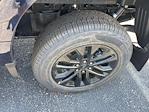 New 2025 Ford F-150 XLT SuperCrew Cab 4WD Pickup for sale #F4360 - photo 17
