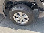 New 2025 Ford F-150 XLT SuperCrew Cab 4WD Pickup for sale #F4362 - photo 24