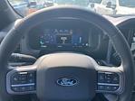 New 2025 Ford F-150 XLT SuperCrew Cab 4WD Pickup for sale #F4406 - photo 23