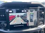 New 2025 Ford F-150 XLT SuperCrew Cab 4WD Pickup for sale #F4436 - photo 30